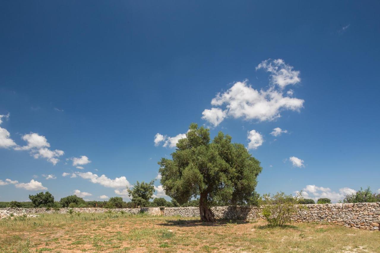Masseria Castelluzzo Челие Месапика Екстериор снимка